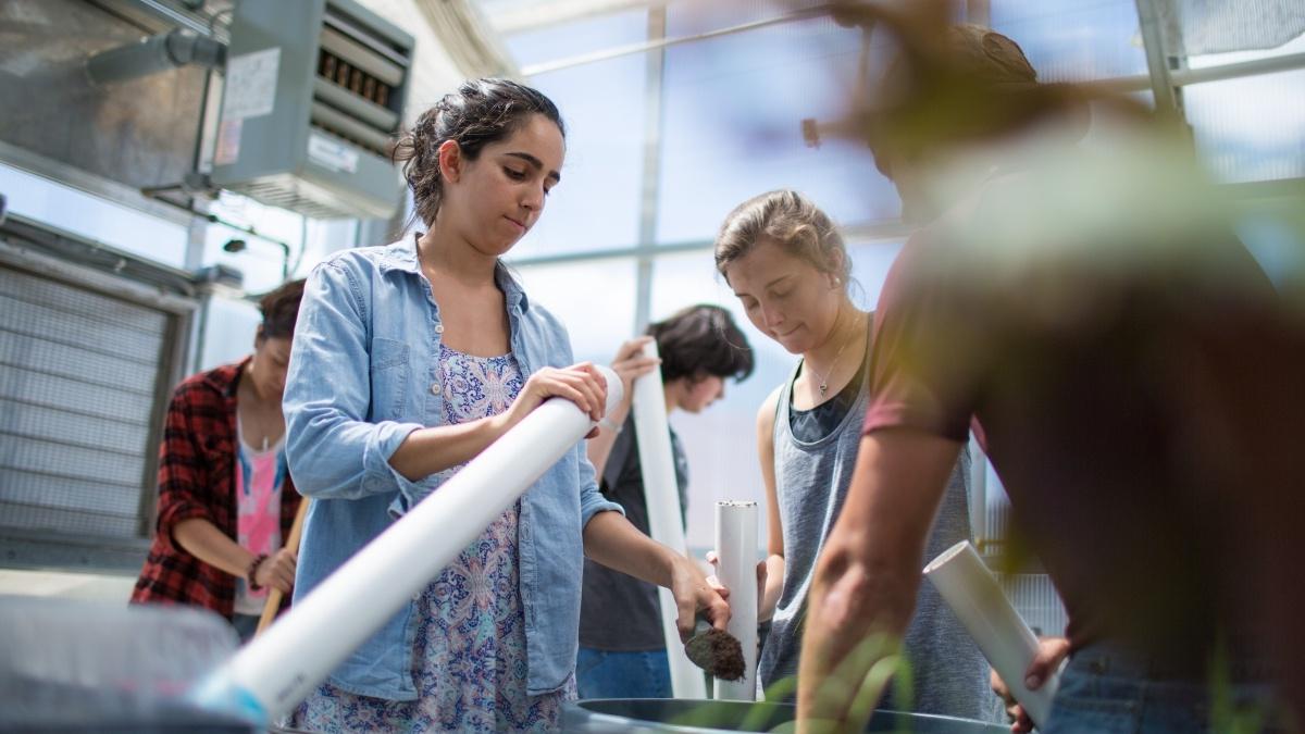 Avva Bassiri looks down a tube for a course project in the Greenhouse